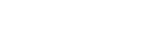 Procyon Studio