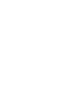 SLEIGH BELLS